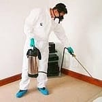 pest control specials Auckland