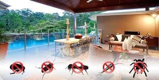 About us. Pest control