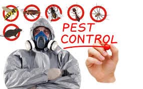 pest control reviews Auckland